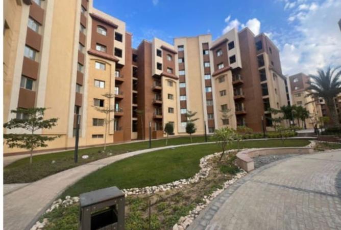 8001025 - Property Image 3