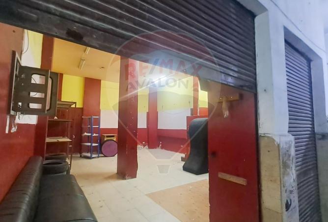 8293364 - Property Image 3