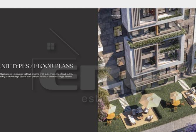 8232948 - Property Image 3