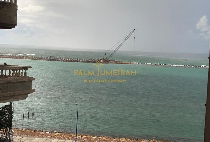 8262139 - الصورة الرئيسية للعقار