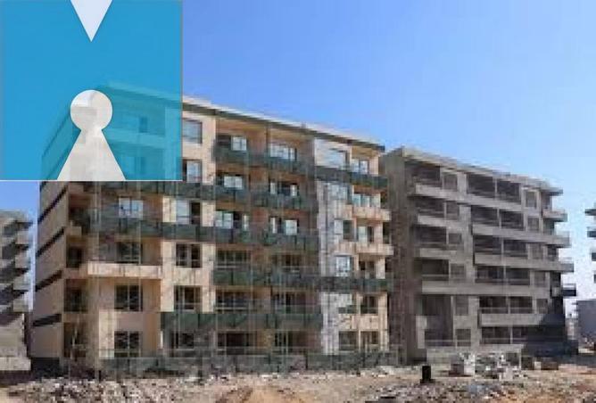 8182288 - Property Image 3