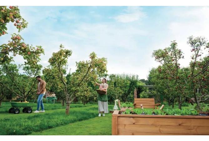 8181613 - صورة العقار 2