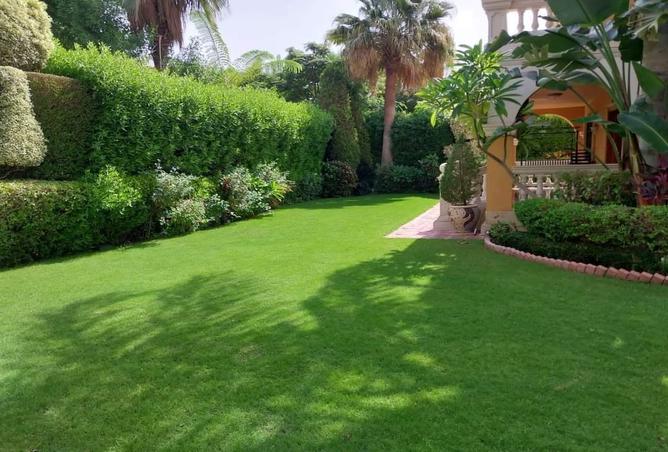 7922977 - صورة العقار 2