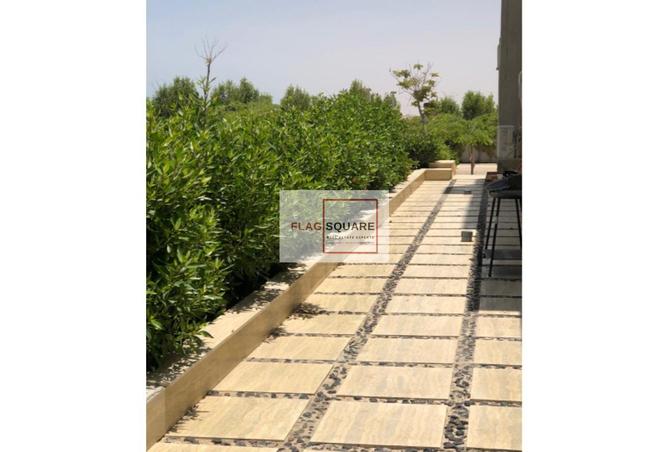8119015 - صورة العقار 3
