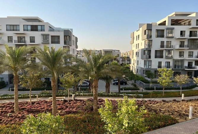 8179470 - صورة العقار 3