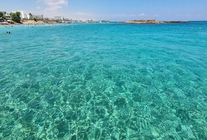 8332438 - صورة العقار 3