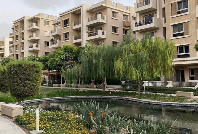 8219279 - Property Image 3