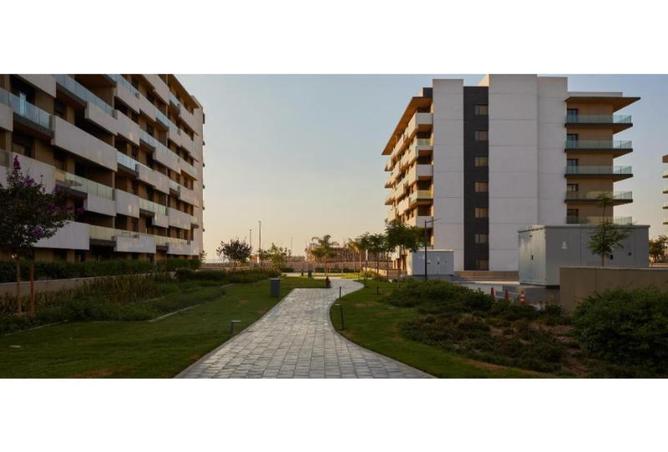 8186641 - Property Image 3