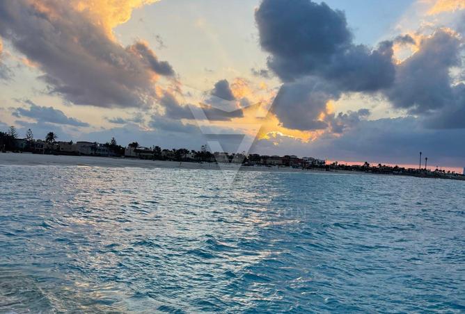 8129815 - صورة العقار 2