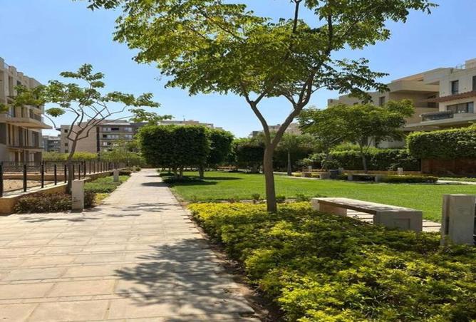 8258792 - صورة العقار 3