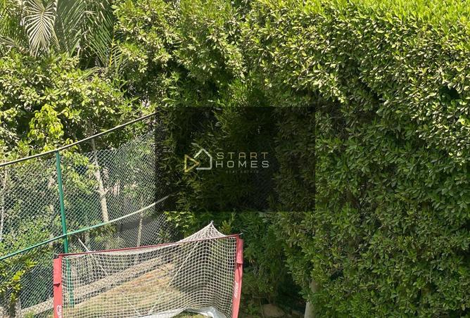 8216004 - صورة العقار 3