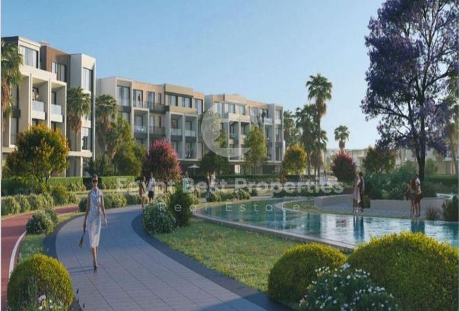 8296111 - Property Image 3