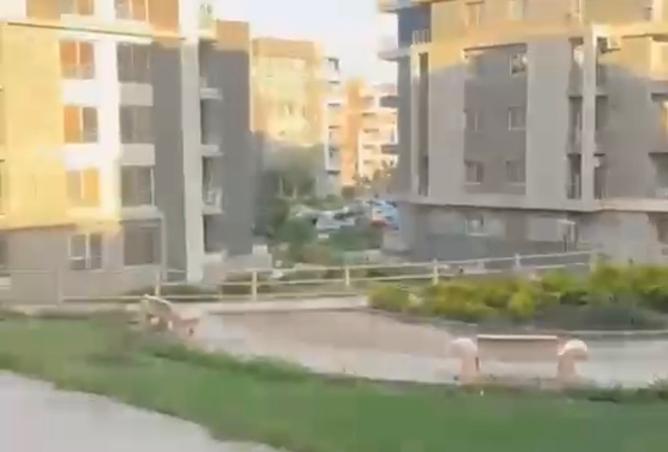 8442135 - Property Image 2