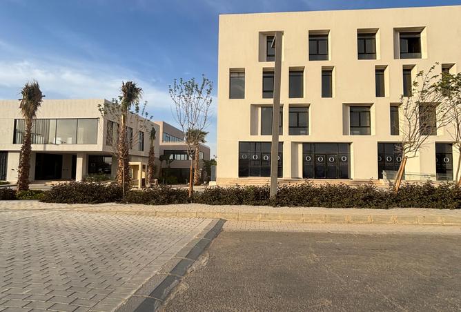 8239203 - Property Image 3