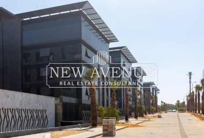 8077067 - Property Image 3