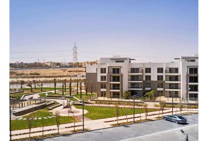 8192208 - Property Image 3