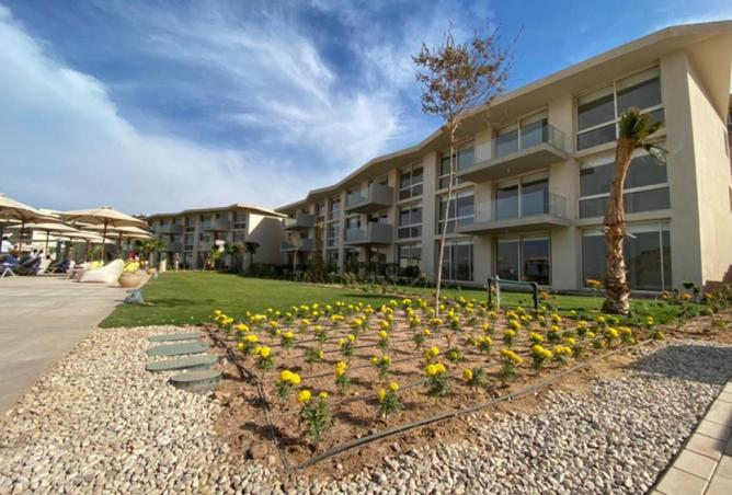 8360361 - Property Image 2