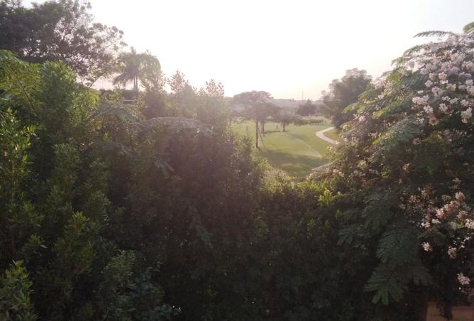 8483626 - صورة العقار 3