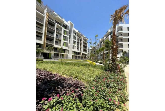 8432559 - Property Image 2