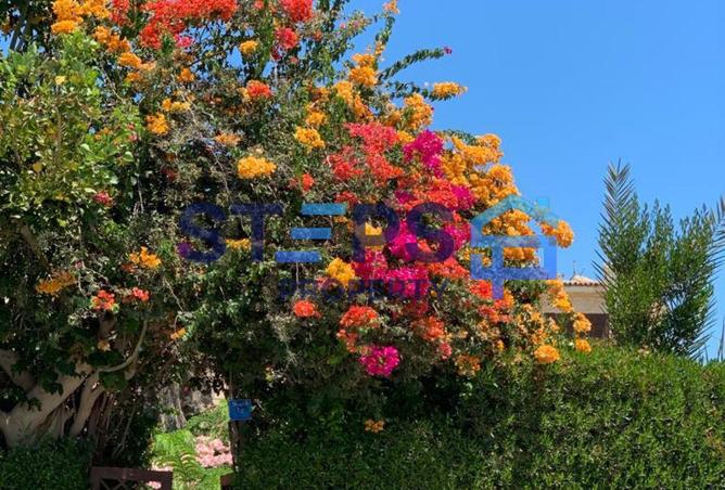 8338171 - Property Image 3