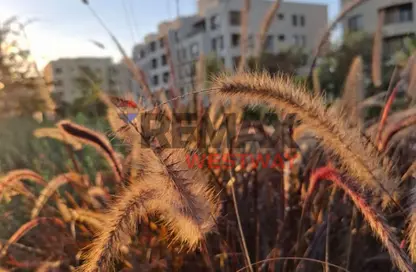 شقة - 2 غرف نوم - 3 حمامات للايجار في أو ويست - كمبوندات 6 أكتوبر - مدينة 6 أكتوبر - الجيزة شقة - 2 غرف نوم - 3 حمامات للايجار في أو ويست - كمبوندات 6 أكتوبر - مدينة 6 أكتوبر - الجيزة