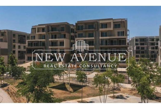 8175516 - Property Image 3