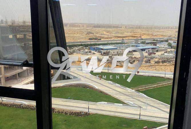 7917638 - صورة العقار 3