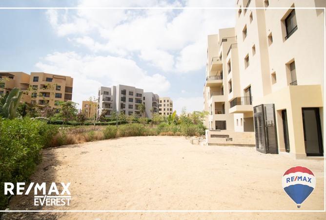 7927995 - Property Image 3
