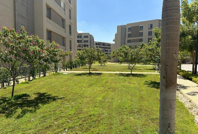 8255559 - الصورة الرئيسية للعقار