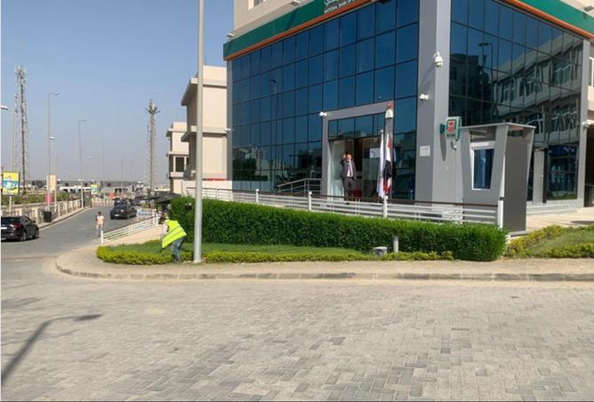 8353872 - صورة العقار 2