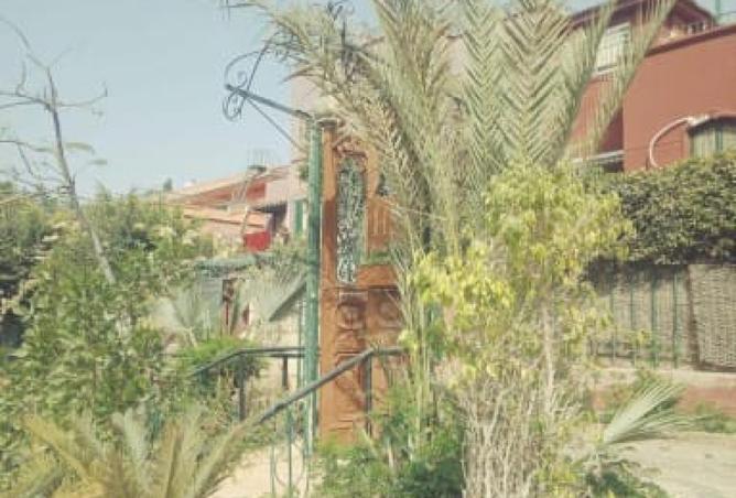 7910007 - صورة العقار 2