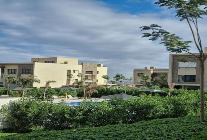 7982281 - صورة العقار 3