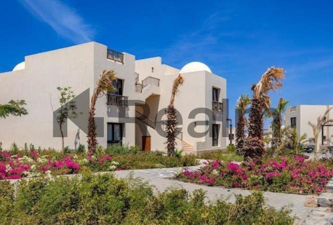 8050317 - Property Image 3