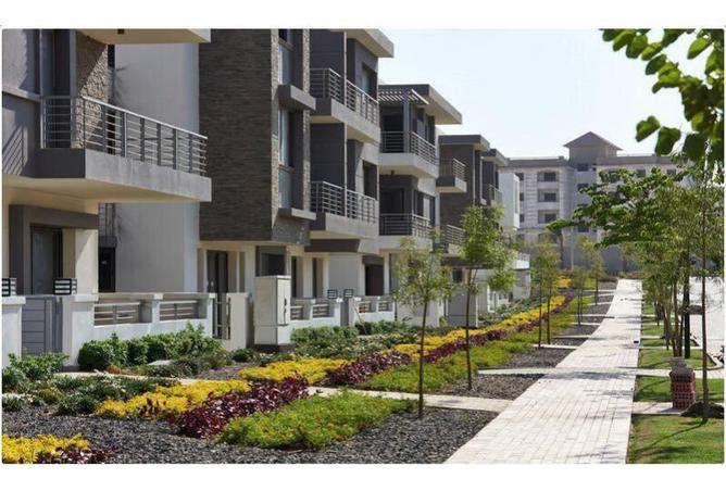 8284156 - Property Image 2