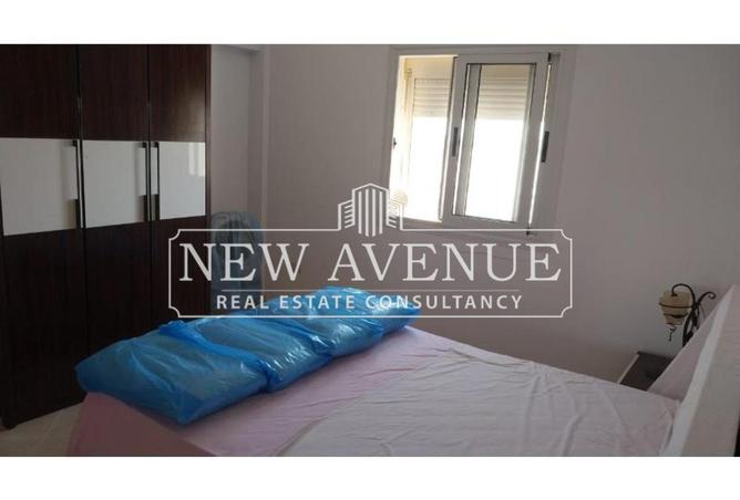 8297484 - Property Image 3