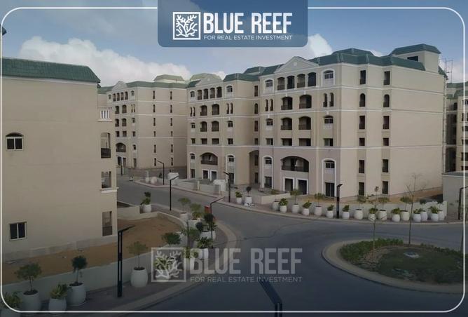 8294251 - Property Image 3