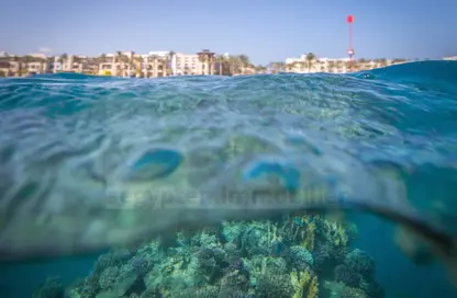 Apartment - Studio for sale in Berenice - Marsa Alam - Red Sea