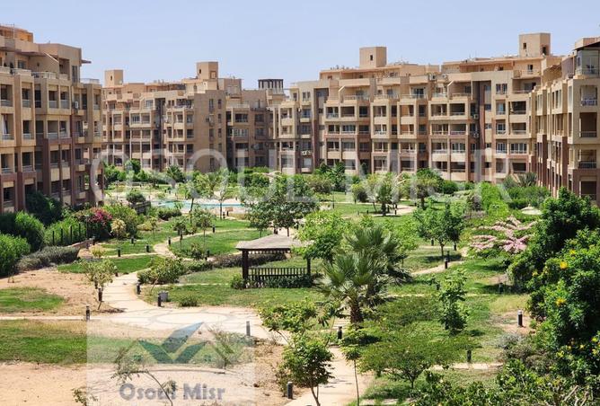 8066837 - الصورة الرئيسية للعقار
