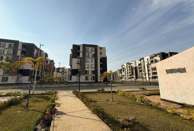 8339822 - Property Image 3