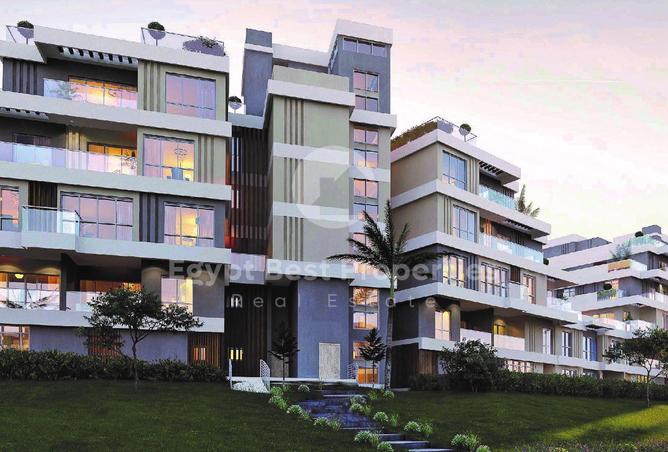 8434095 - Property Image 3