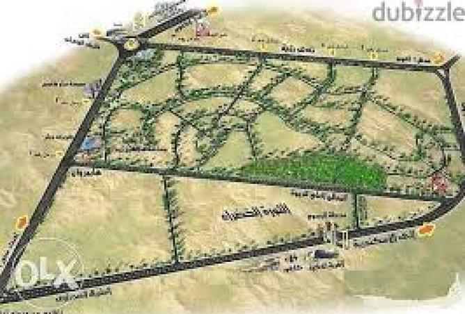 8180534 - Property Image 3