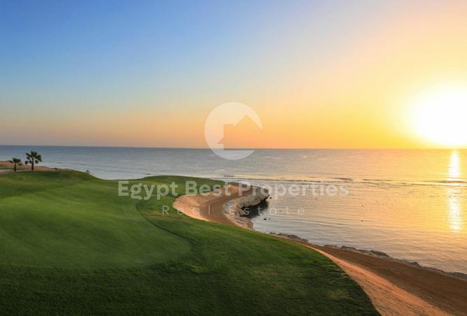 8428450 - Property Image 3