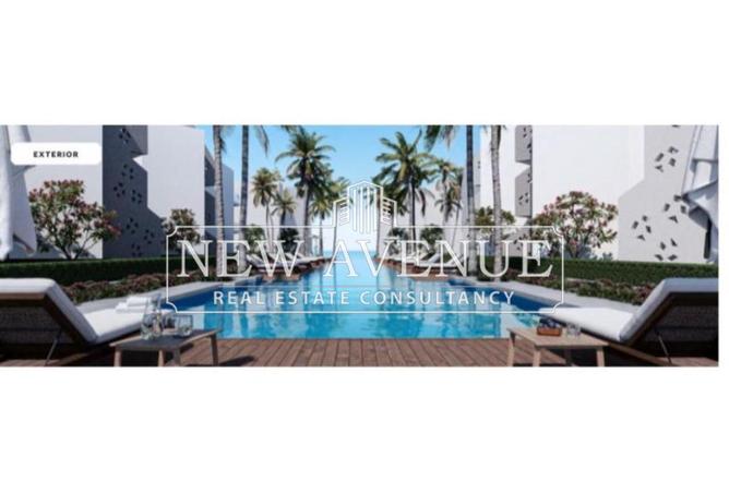 8219980 - Property Image 3