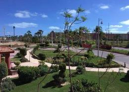 Apartment - 2 bedrooms - 2 bathrooms for للايجار in Golf Porto Marina - Al Alamein - North Coast