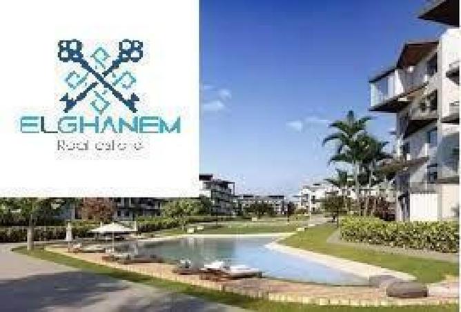 7965761 - صورة العقار 3