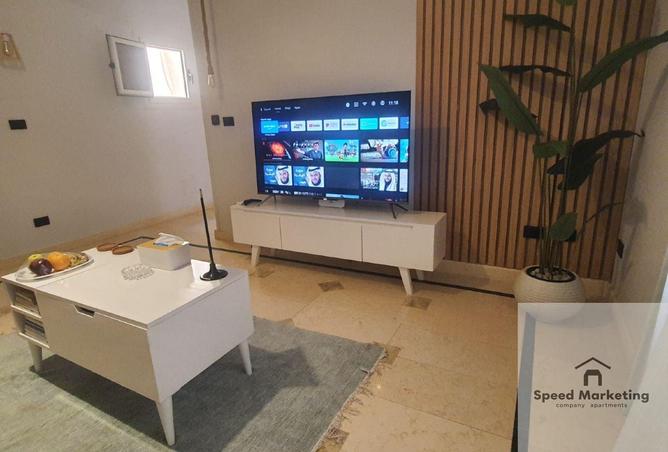 8441917 - Property Image 3