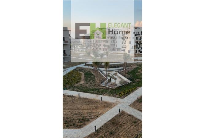 7961719 - صورة العقار 2