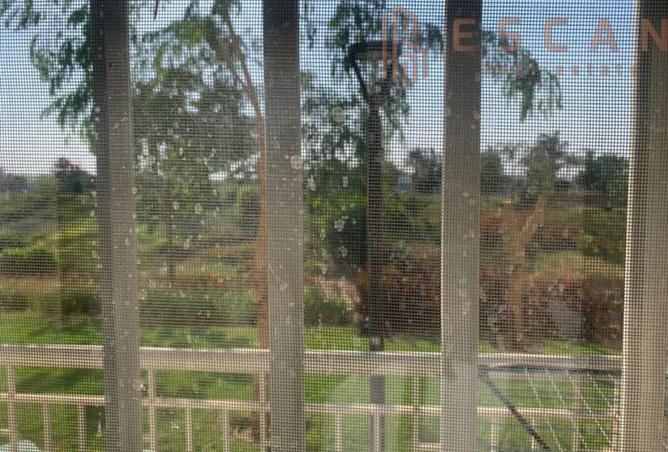 8160379 - صورة العقار 2