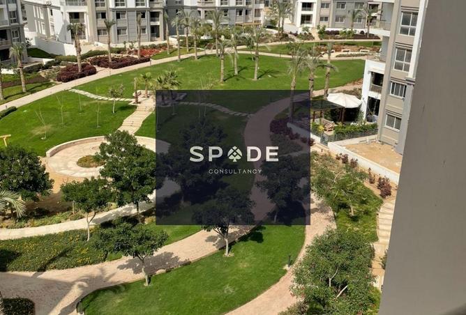 8225831 - Property Image 3