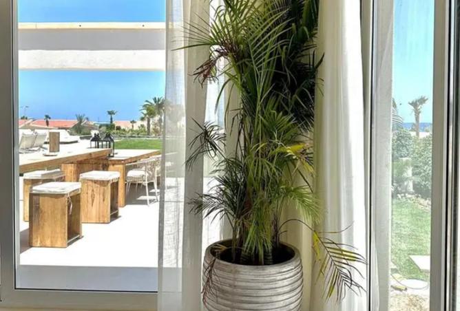 8041300 - Property Image 2